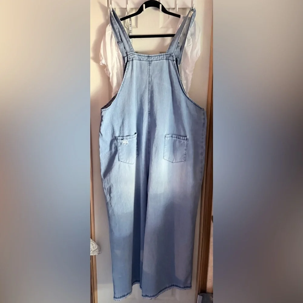 Blue Denim Distressed Overalls - Picture 5 of 7
